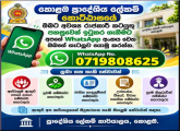 News & Event