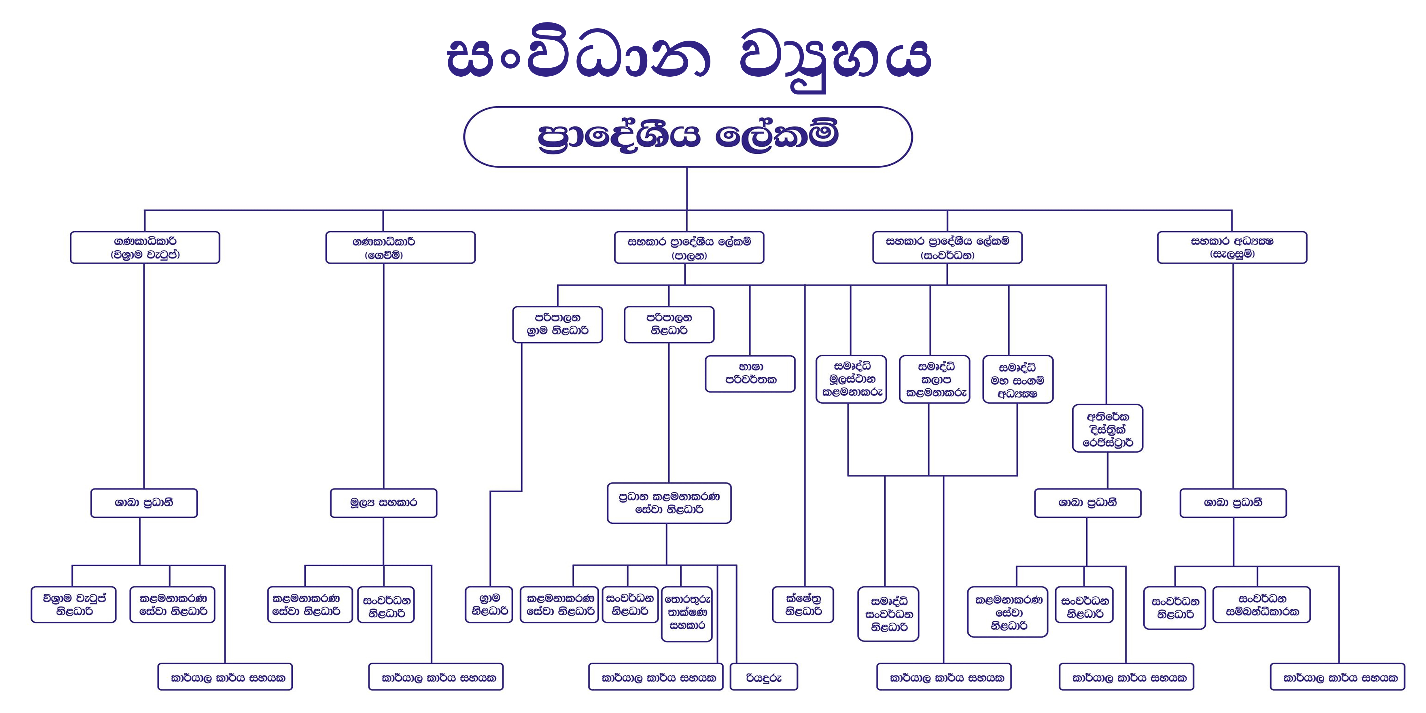 Organization Chart Sin min